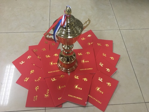 参赛选手取得的荣誉 参赛选手取得的荣誉