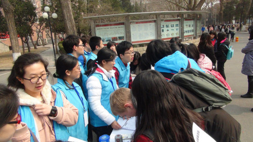 十字路口中外志愿者同时招募 十字路口中外志愿者同时招募