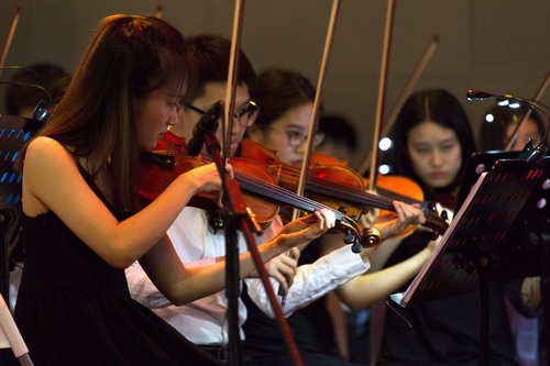 3 弦乐演奏 3 弦乐演奏