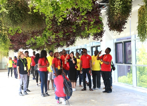 参观中粮 参观中粮