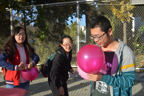 1 素拓准备 1 素拓准备