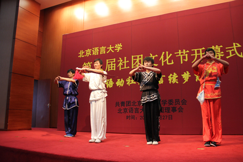 武术队表演 武术队表演