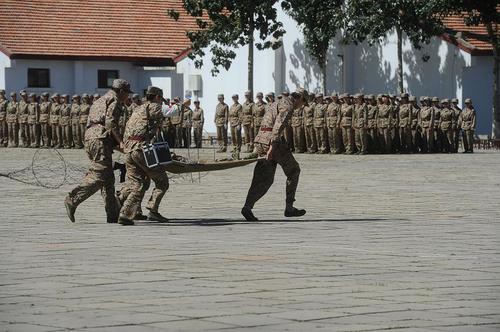 44 军事训练成果汇报:战场救护 44 军事训练成果汇报:战场救护