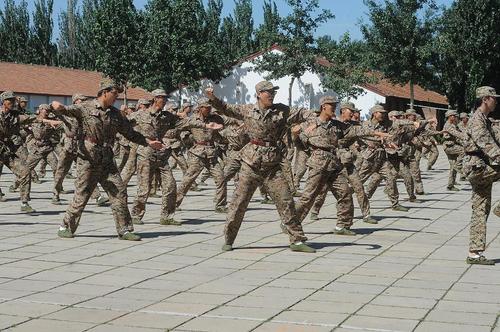 55 军事训练成果汇报:军体格斗术 55 军事训练成果汇报:军体格斗术