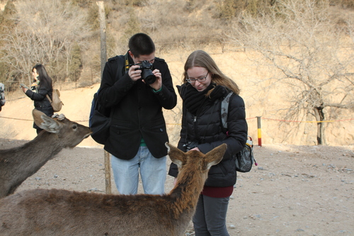亲近自然 亲近自然