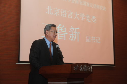 王鲁新副书记讲话 王鲁新副书记讲话