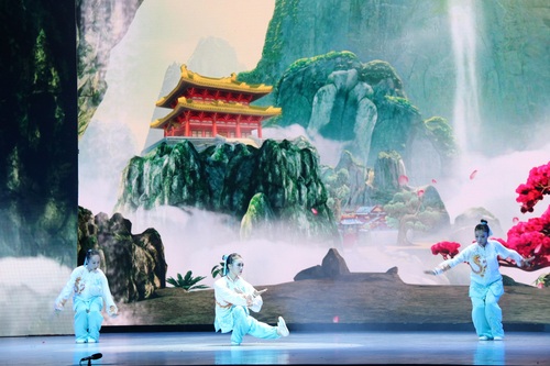 太极拳表演 太极拳表演