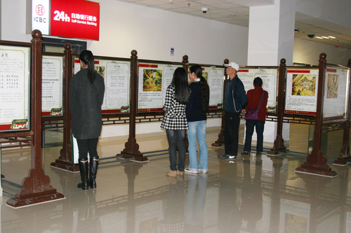 引人驻足 引人驻足