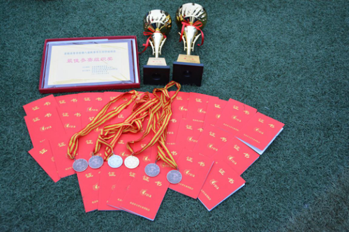 最佳参赛组织奖 奖杯 奖牌 证书 最佳参赛组织奖 奖杯 奖牌 证书