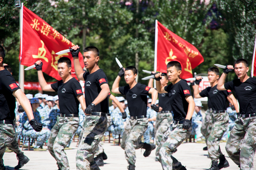 20160828-_IMG3848 20160828-_IMG3848