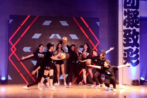 6 排协的精彩演出 6 排协的精彩演出