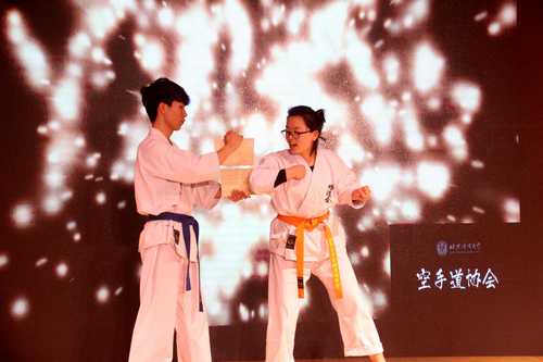 2 霹雳空手道 2 霹雳空手道