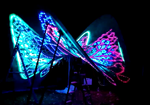 精美蝴蝶展3 精美蝴蝶展3