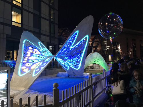 精美蝴蝶展2 精美蝴蝶展2