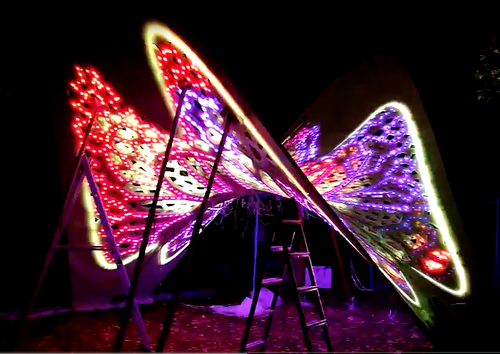 精美蝴蝶展5 精美蝴蝶展5