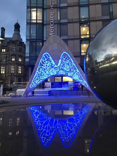 精美蝴蝶展1 精美蝴蝶展1