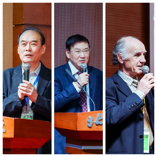 专家与会交流“语言资源保护” 专家与会交流“语言资源保护”