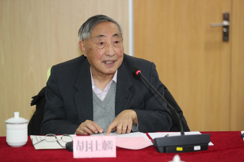胡壮麟先生讲话 胡壮麟先生讲话