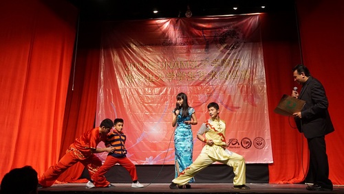 墨西哥小观众上台学习武术动作 墨西哥小观众上台学习武术动作