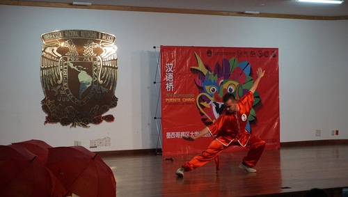 参赛选手表演武术 参赛选手表演武术