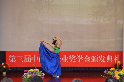 一等奖获得者莉丝表演孔雀舞 一等奖获得者莉丝表演孔雀舞