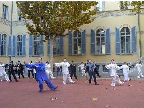 参与者与太极拳老师一起打太极 参与者与太极拳老师一起打太极