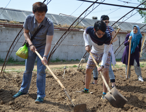 国际志愿者在播种 国际志愿者在播种