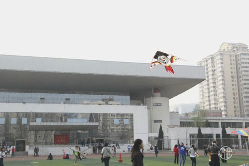 放飞风筝 放飞风筝