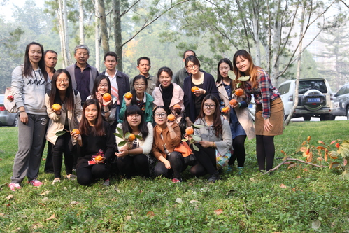 柿子节合照 柿子节合照