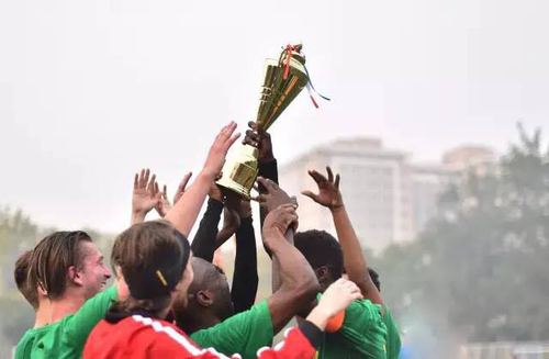 收获奖杯 收获奖杯