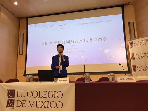 05.图五 北京师范大学教授朱志平做专题报告 05.图五 北京师范大学教授朱志平做专题报告