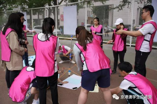 图片4 图片4