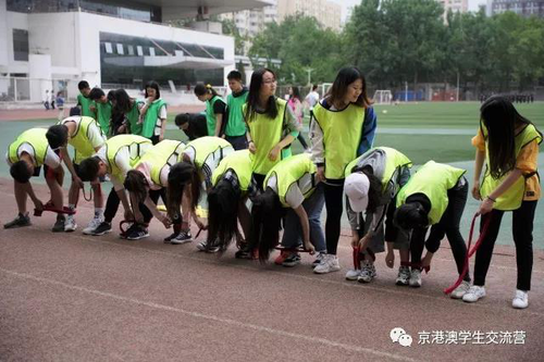 图片5 图片5