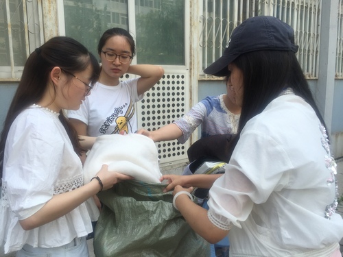 工作人员整理衣物 工作人员整理衣物