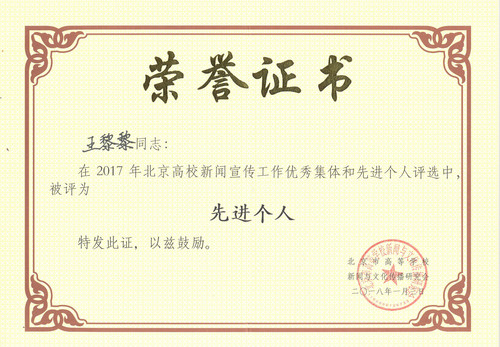 王黎黎先进个人_副本 王黎黎先进个人_副本