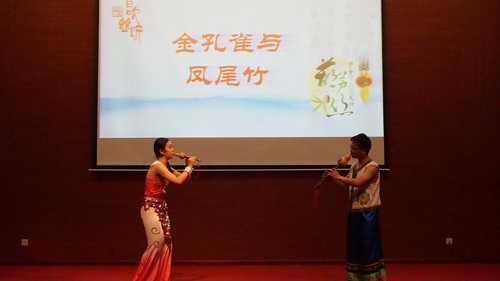 3 金孔雀与凤尾竹表演 3 金孔雀与凤尾竹表演