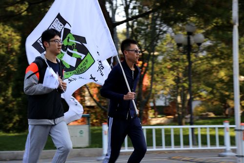 5朝气蓬勃的挑战者