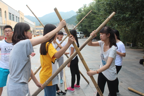 4 素质拓展“罗马炮架” 4 素质拓展“罗马炮架”