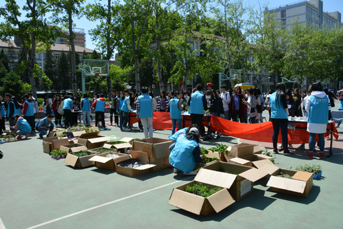 1 排队领取绿植