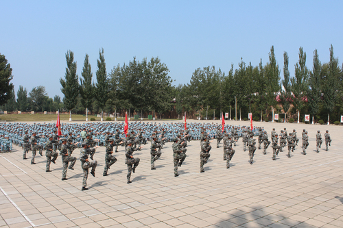 承训单位展示 承训单位展示