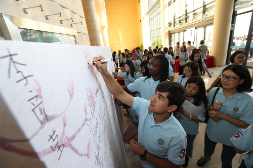 8006691.jpg 8006691.jpg