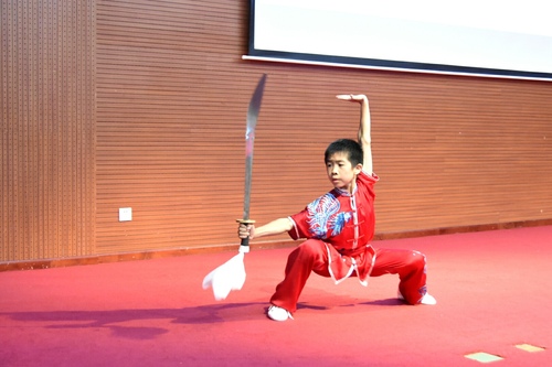 武术表演 武术表演