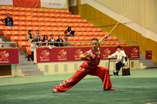 武术表演 武术表演