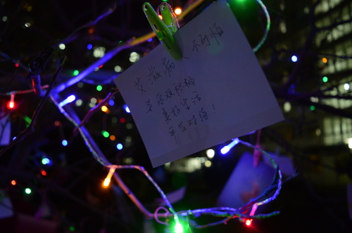 挂满明信片的树 挂满明信片的树