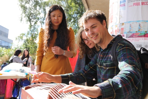 谢大学生体验中国传统乐器古筝 谢大学生体验中国传统乐器古筝