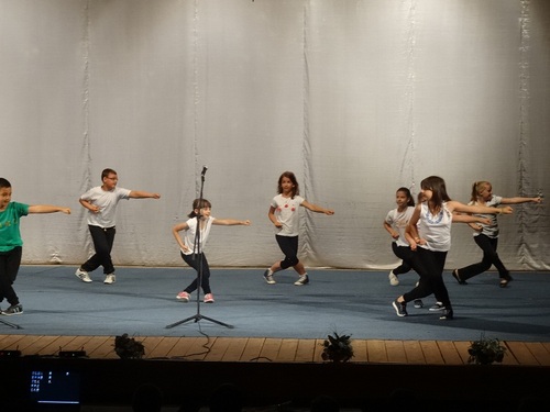 4.小学生表演五步拳 4.小学生表演五步拳