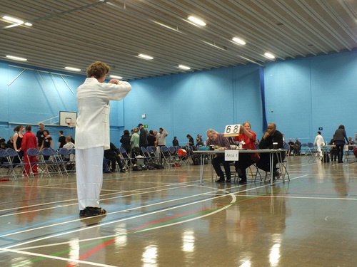 Rolf Grandholm获中级武当36式太极拳最高分 Rolf Grandholm获中级武当36式太极拳最高分