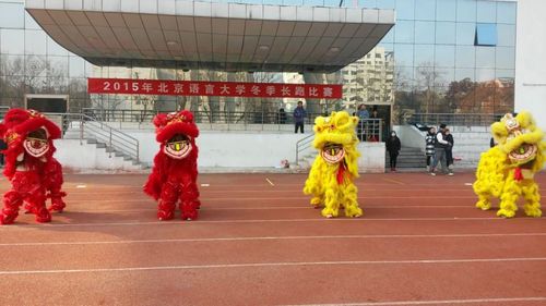 舞龙舞狮表演 舞龙舞狮表演