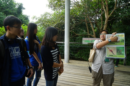 6 回访团参观香港湿地公园 6 回访团参观香港湿地公园