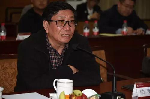 陆明军 陆明军